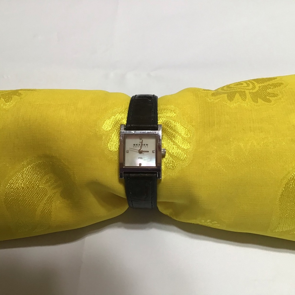 Skagen Women’s Stainless Steel Adjustable Watch